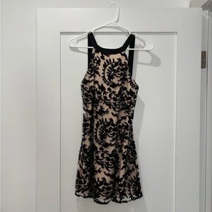 NBD Black and Cream Floral Lace Dress
